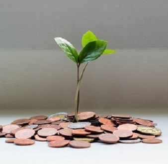 Plante qui pousse alimentée par l'argent