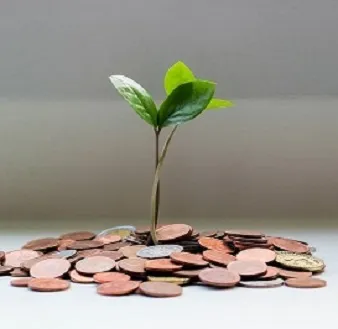 Plante qui pousse alimentée par l'argent